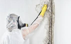 Best Water Damage & Mold Remediation  in Happy Valley, OR